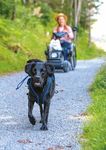 GIORNATE DI VISITA 1O SABATO - La rivista della Fondazione scuola svizzera per cani guida per ciechi Allschwil - Blindenhundeschule