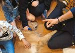 GIORNATE DI VISITA 1O SABATO - La rivista della Fondazione scuola svizzera per cani guida per ciechi Allschwil - Blindenhundeschule