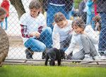 GIORNATE DI VISITA 1O SABATO - La rivista della Fondazione scuola svizzera per cani guida per ciechi Allschwil - Blindenhundeschule