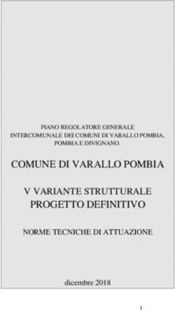 COMUNE DI VARALLO POMBIA PROGETTO DEFINITIVO - V VARIANTE STRUTTURALE NORME TECNICHE DI ATTUAZIONE