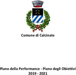 Comune di Calcinate Piano della Performance - Piano degli Obiettivi 2019 2021
