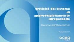 Criticit&agrave; del sistema di approvvigionamento idropotabile - Riunione dell'Osservatorio - Bracciano Smart Lake