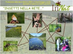 "INSETTI NELLA RETE - Promozione della Rete Natura 2000 e il monitoraggio a scala nazionale di specie di insetti protetti - Innat