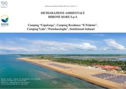 DICHIARAZIONE AMBIENTALE BIBIONE MARE S.p.A - Camping Capalonga
