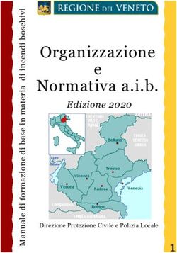 Organizzazione e Normativa a.i.b - Elezioni Regione Veneto
