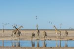 LA NAMIBIA - VIAGGIO FOTOGRAFICO - Photographic Travel