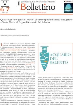 Quattrocento organismi marini di cento specie diverse: inaugurato a Santa Maria al Bagno l'Acquario del Salento - Il Bollettino
