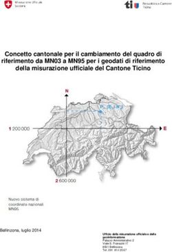 Concetto cantonale per il cambiamento del quadro di riferimento da MN03 a MN95 per i geodati di riferimento della misurazione ufficiale del ...