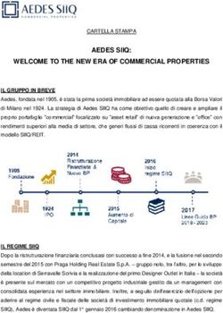 AEDES SIIQ: WELCOME TO THE NEW ERA OF COMMERCIAL PROPERTIES