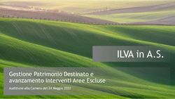 ILVA in A.S. Gestione Patrimonio Destinato e avanzamento interventi Aree Escluse - Audizione alla Camera del 24 Maggio 2022 - Camera dei Deputati
