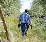 2 Esperienza sul campo - Rete Rurale Nazionale