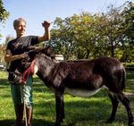 2 Esperienza sul campo - Rete Rurale Nazionale