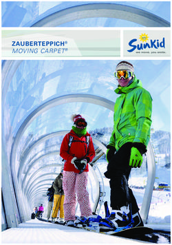 Zauberteppich Moving Carpet