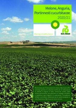 Melone, Anguria, Portinnesti cucurbitacee 2020/21 - Rijk ...