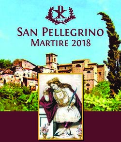 San Pellegrino Martire 2018 - Altavilla Irpina Sports & Social Club
