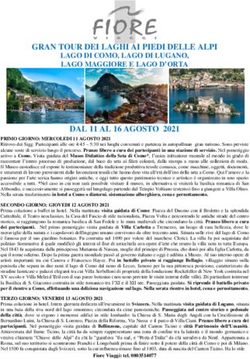 GRAN TOUR DEI LAGHI AI PIEDI DELLE ALPI LAGO DI COMO, LAGO DI LUGANO, LAGO MAGGIORE E LAGO D'ORTA