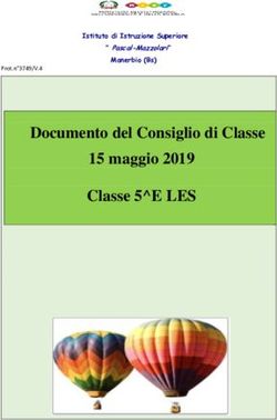 Documento del Consiglio di Classe 15 maggio 2019 Classe 5 E LES - Istituto di Istruzione Superiore " Pascal-Mazzolari" Manerbio (Bs)