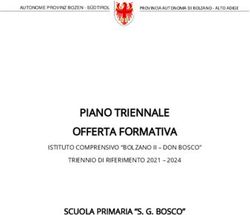 PIANO TRIENNALE OFFERTA FORMATIVA - SCUOLA PRIMARIA "S. G. BOSCO" ISTITUTO COMPRENSIVO "BOLZANO II - DON BOSCO" - Istituto ...