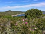 Arcipelago Toscano Trekking tra le isole minori del Parco: Gorgona, Giglio e Giannutri