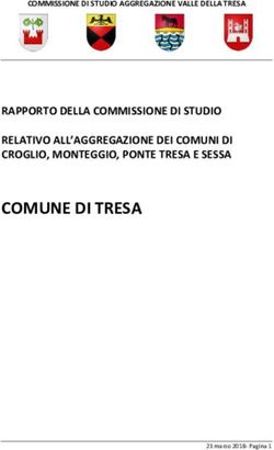 COMUNE DI TRESA RAPPORTO DELLA COMMISSIONE DI STUDIO RELATIVO ALL'AGGREGAZIONE DEI COMUNI DI CROGLIO, MONTEGGIO, PONTE TRESA E SESSA ...