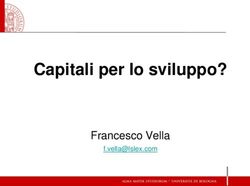 Capitali per lo sviluppo? - Francesco Vella