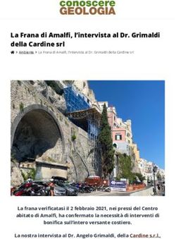 La Frana di Amalfi, l'intervista al Dr. Grimaldi della Cardine srl