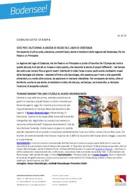 C OMUN IC ATO STAMPA IDEE PER L'AUTUNNO: A CACCIA DI MUSEI SUL LAGO DI COSTANZA - ABC PR Consulting