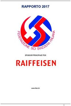 RAPPORTO 2017 - SPONSOR PRINCIPALE FSSI www.fssi.ch - Federazione Sci Svizzera Italiana