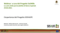 Webinar a cura del Progetto Soil4life - La carta della permeabilit&agrave; di Roma Capitale 29.03.2021