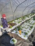 AGRICOLTURA SOTT'ACQUA? - Confagricoltura Rovigo