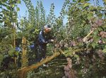 AGRICOLTURA SOTT'ACQUA? - Confagricoltura Rovigo