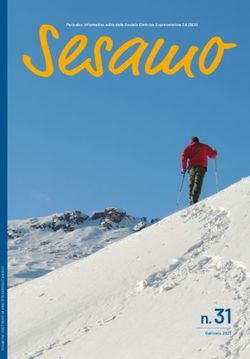 N. 31 Gennaio 2021 - Societ&agrave; Elettrica Sopracenerina