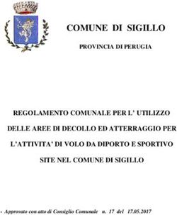 COMUNE DI SIGILLO IN PROVINCIA DI PERUGIA - REGOLAMENTO COMUNALE PER L' UTILIZZO DELLE AREE DI DECOLLO ED ATTERRAGGIO PER