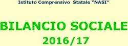 BILANCIO SOCIALE 2016/17 - Istituto Comprensivo Statale "NASI" - IC Nasi