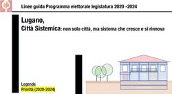 Lugano, Città Sistemica: non solo città, ma sistema che cresce e si rinnova