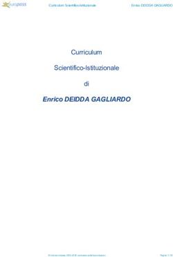 Enrico DEIDDA GAGLIARDO - Curriculum Scientifico-Istituzionale di Curriculum Scientifico-Istituzionale 23.01.2020