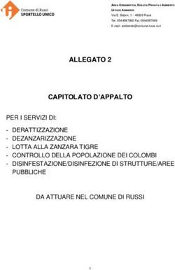 CAPITOLATO D'APPALTO - Comune di Russi