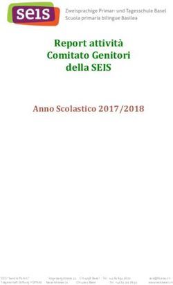 Report attivit&agrave; Comitato Genitori della SEIS - Anno Scolastico 2017/2018 - SEIS Basel