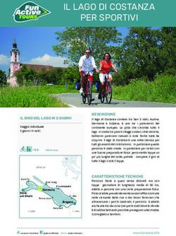 IL LAGO DI COSTANZA PER SPORTIVI - Turio.it