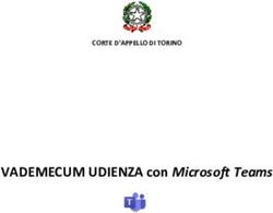 VADEMECUM UDIENZA con Microsoft Teams - CORTE D'APPELLO DI TORINO - Ordine ...