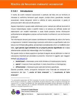 Rischio da fenomeni meteorici eccezionali - C 3.II.1 - Comune di ...