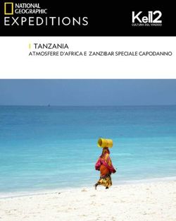 TANZANIA ATMOSFERE D'AFRICA E ZANZIBAR SPECIALE CAPODANNO - Kel 12