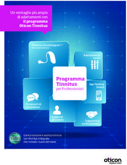 Programma Tinnitus per Professionisti