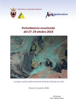 Perturbazione eccezionale del 27- 29 ottobre 2018 - (Trento, 16 novembre 2018) Immagine satellitare (@Eumetsat) del 28 ottobre 2018 alle ore 14:00 ...