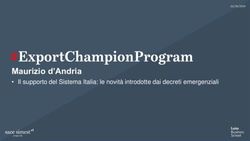 Maurizio d'Andria Il supporto del Sistema Italia: le novit&agrave; introdotte dai decreti emergenziali - SACE