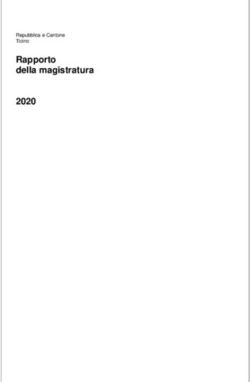 Rapporto della magistratura 2020 - Repubblica e Cantone ...