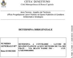 CITTA' DI NETTUNO - Citt&agrave; metropolitana di Roma Capitale