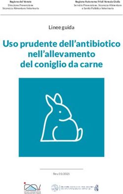 Uso prudente dell'antibiotico nell'allevamento del coniglio da carne