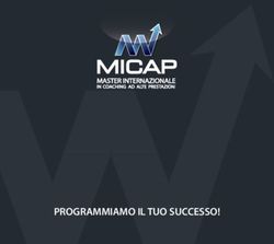 PROGRAMMIAMO IL TUO SUCCESSO! - MICAP
