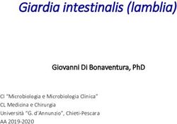 GIARDIA INTESTINALIS (LAMBLIA) - GIOVANNI DI BONAVENTURA, PHD CI "MICROBIOLOGIA E MICROBIOLOGIA CLINICA" CL MEDICINA E CHIRURGIA UNIVERSIT&Agrave; "G ...